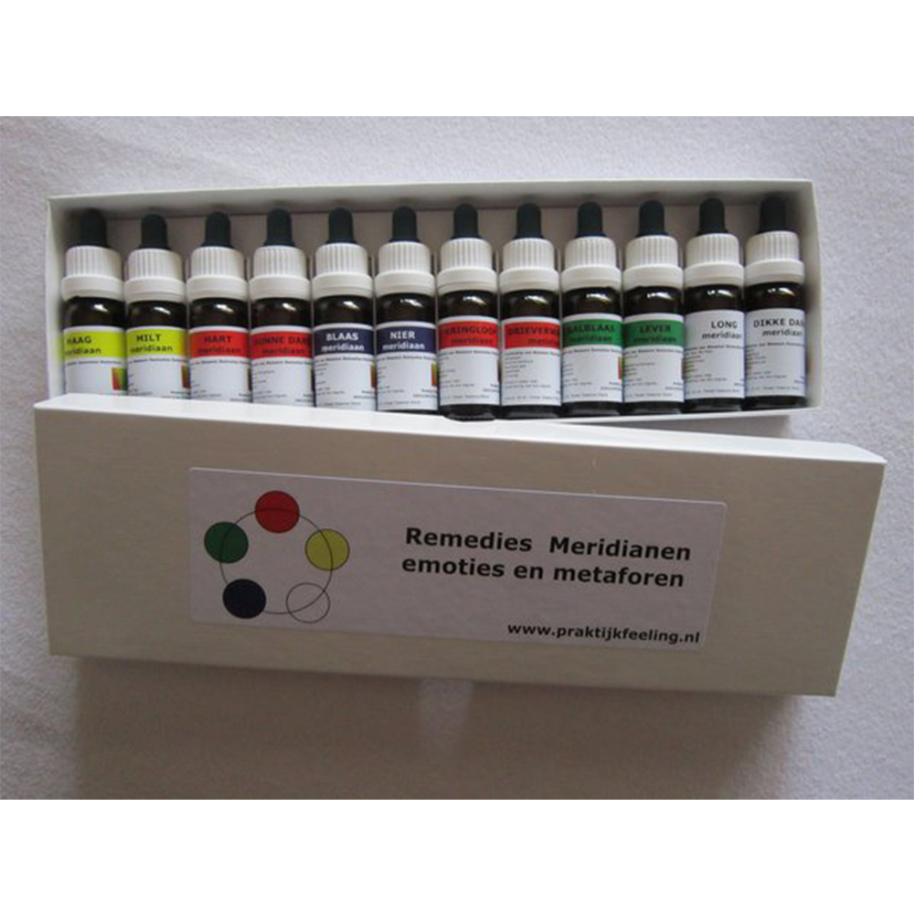 Complete Set ‘Meridianen Remedies + CV/GV Remedies’
