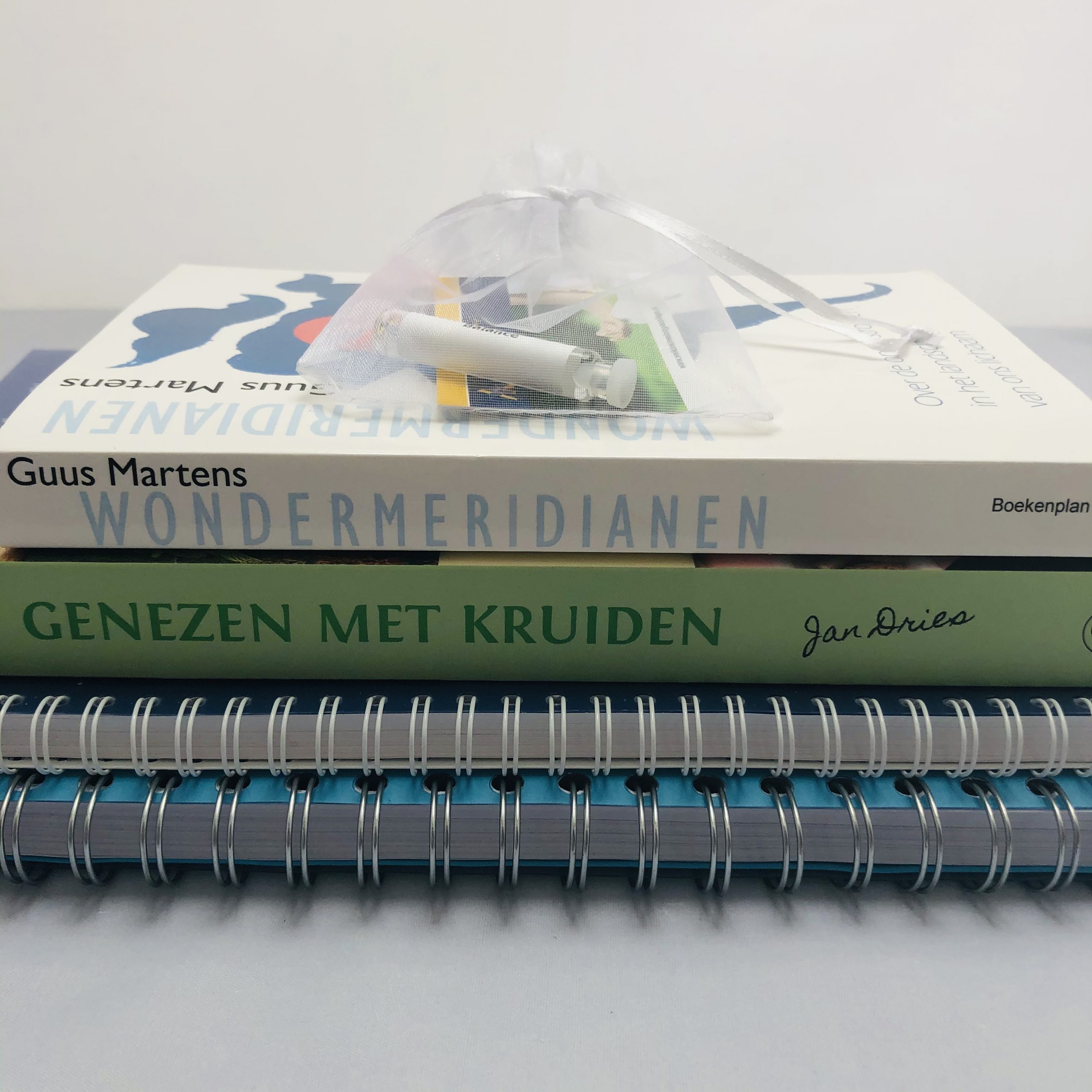 Boekenpakket Derde Jaar Welkin Psychosomatisch Kinesioloog